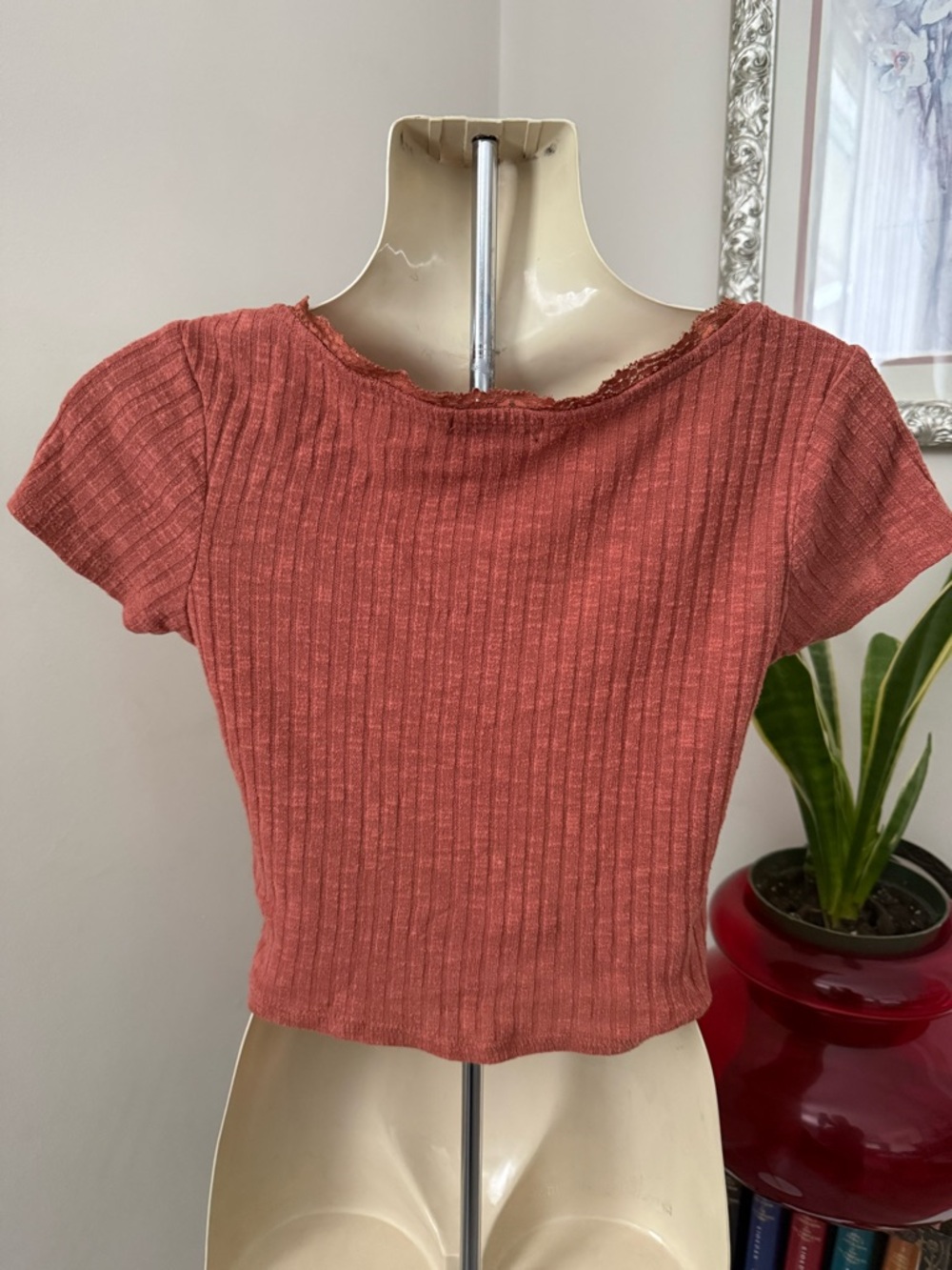 Eclipse Ribbed Button-Front Lace-Trim Crop Top - Rusty Rose - Picture 3 of 6